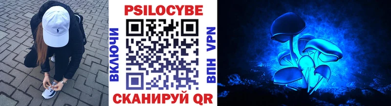 кракен ONION  Лабытнанги  Галлюциногенные грибы Psilocybine cubensis 